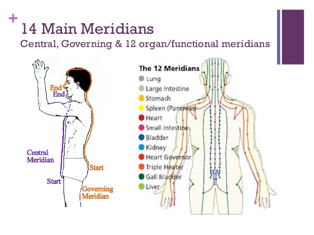 body meridian chart governing vessel conception vessel acupuncture