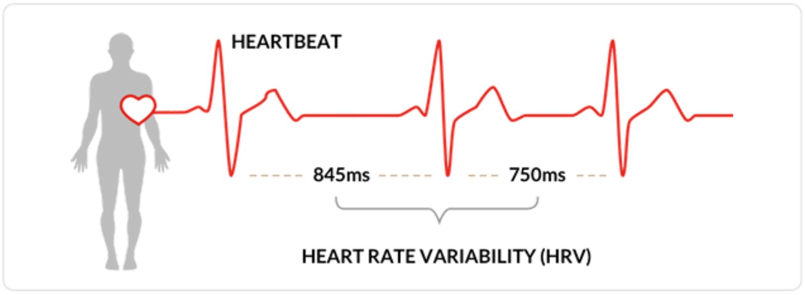 heart rate variability hrv