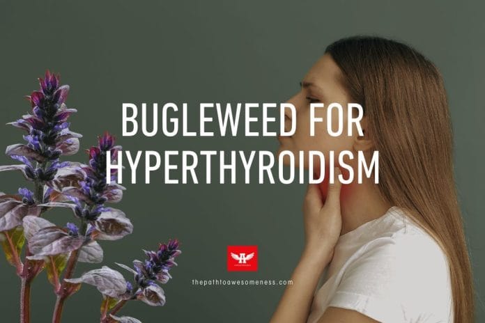 Bugleweed for Hyperthyroidism