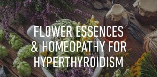 Flower essences homeopathy hyperthyroidism