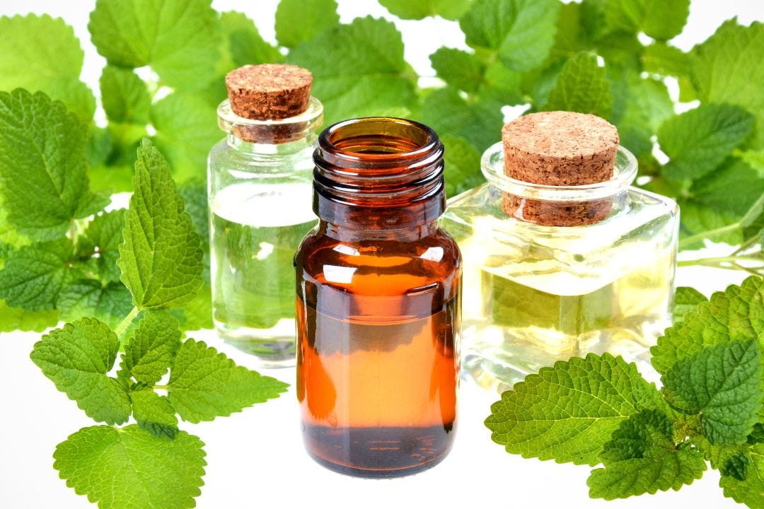 Lemon balm tincture and capsules supporting thyroid health