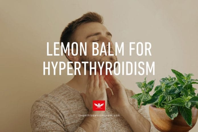 lemon balm for hyperthyroidism